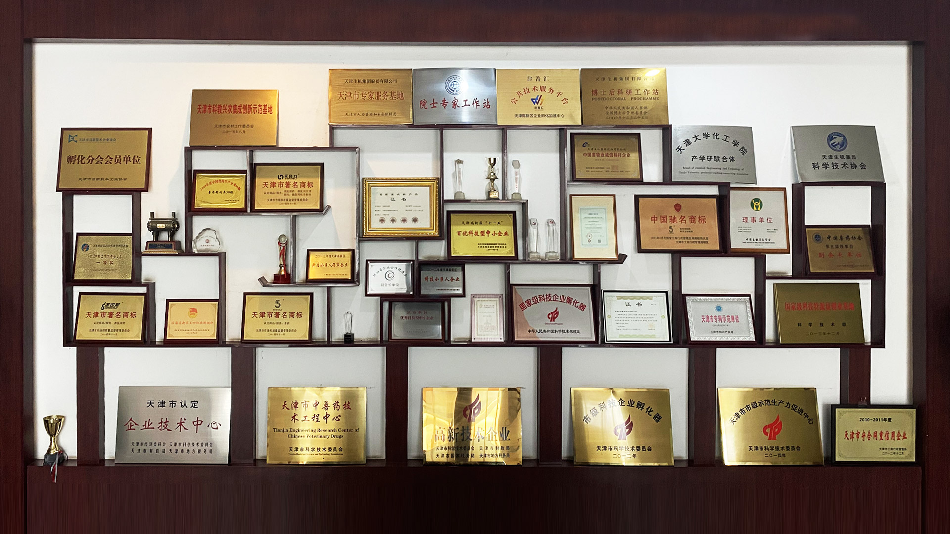 讓生機(jī)人成功快樂(lè)、讓生機(jī)集團(tuán)走向卓越是生機(jī)的使命